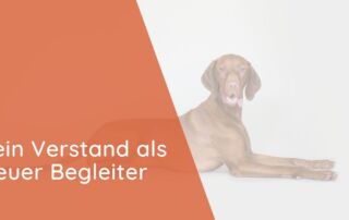 Dein Verstand als treuer Begleiter